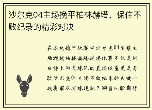 沙尔克04主场挽平柏林赫塔，保住不败纪录的精彩对决